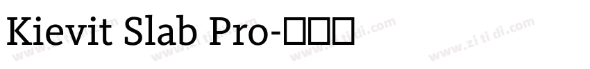 Kievit Slab Pro字体转换 Kievit Slab Pro字体转换
